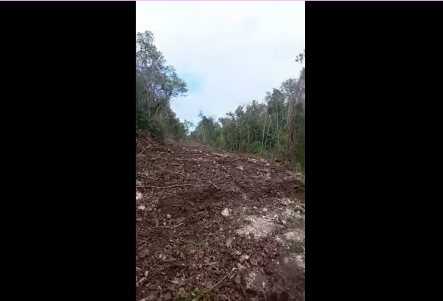 📸 Últimos Avances de Construcción en Bacalar - 4